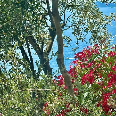 La Finestra Sul Mare - Luxury Riviera Experience Appartamento